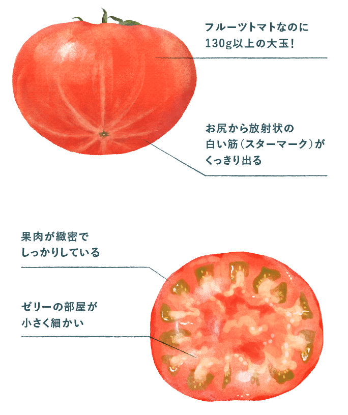 スーパーフルーツトマト